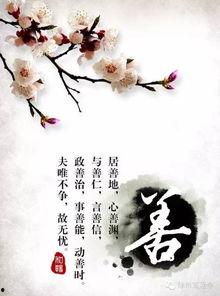 善的照片,照片中的温暖与美好